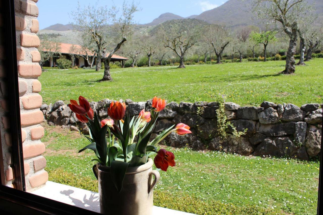 Agriturismo Il Castagneto Padula Dış mekan fotoğraf