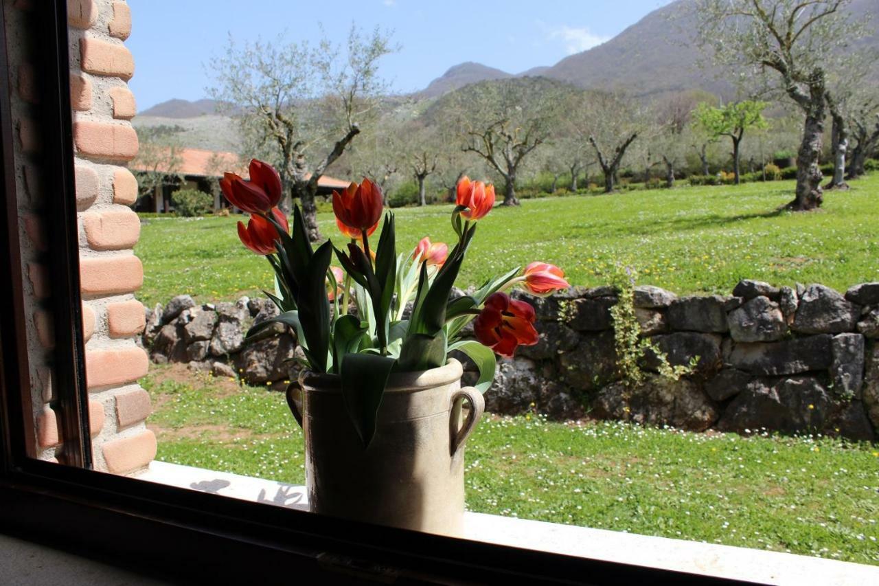 Agriturismo Il Castagneto Padula Dış mekan fotoğraf
