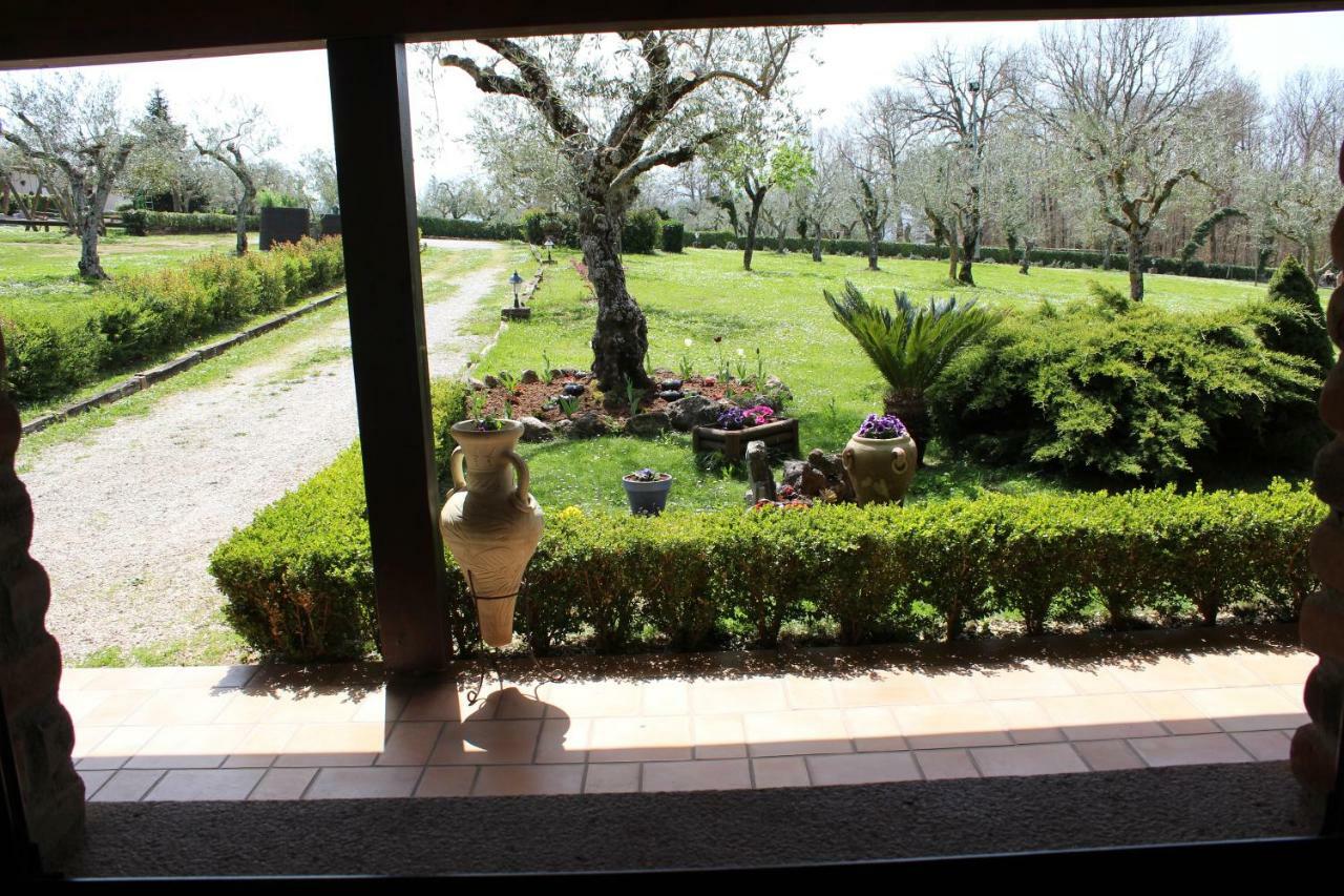 Agriturismo Il Castagneto Padula Dış mekan fotoğraf