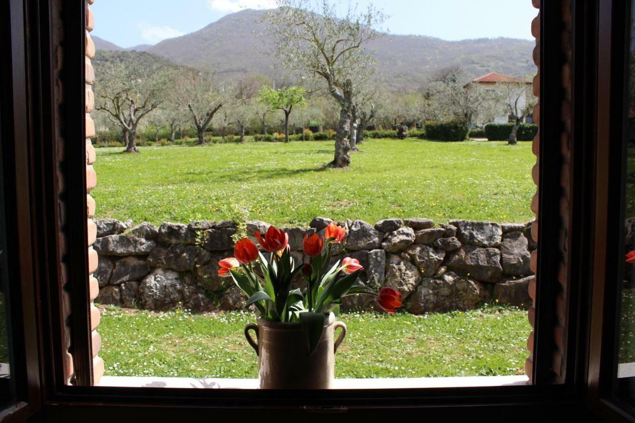 Agriturismo Il Castagneto Padula Dış mekan fotoğraf